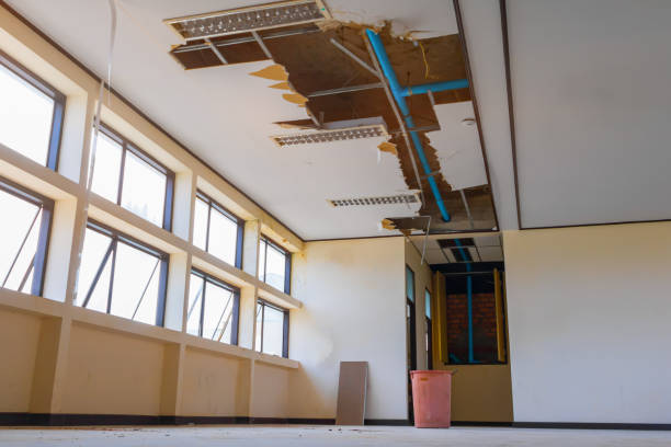 Best Flooded house restoration  in Fox Lake, IL