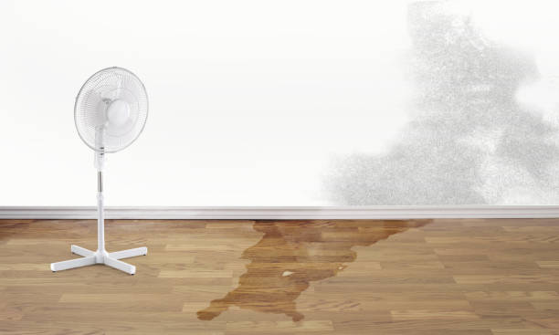 Best Water damage restoration insurance claims  in Fox Lake, IL