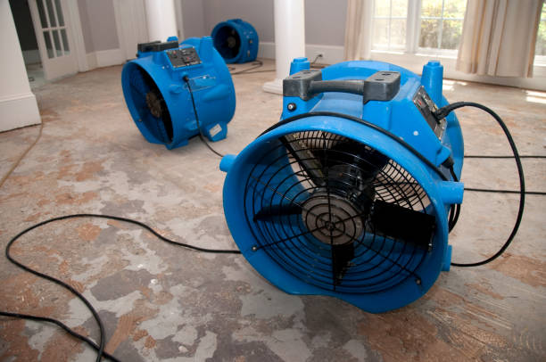 Reliable Fox Lake, IL Water damage restoration Solutions