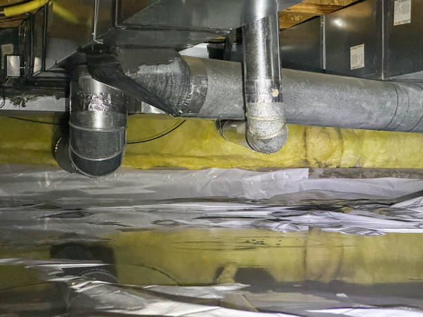 Best 24-hour water damage restoration  in Fox Lake, IL
