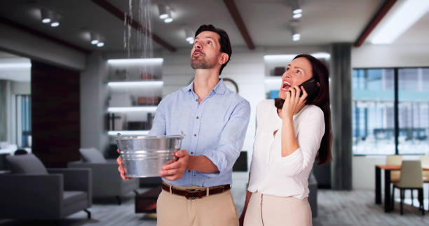 Best Commercial water damage restoration  in Fox Lake, IL
