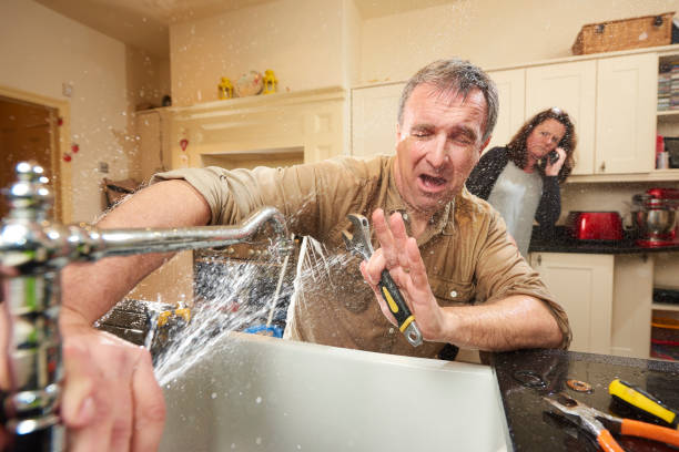 Best 24/7 water damage repair  in Fox Lake, IL